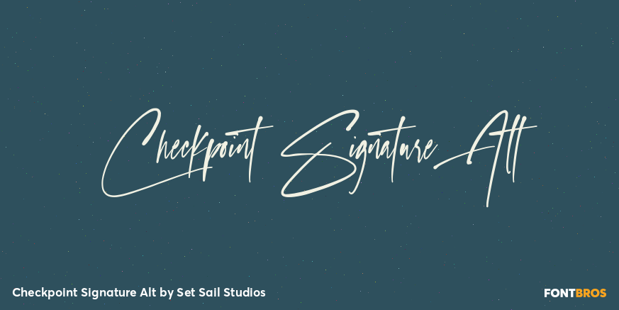 Checkpoint Signature Alt Poster