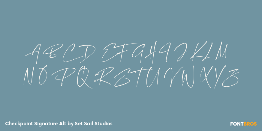 Checkpoint Signature Alt Font Poster #2