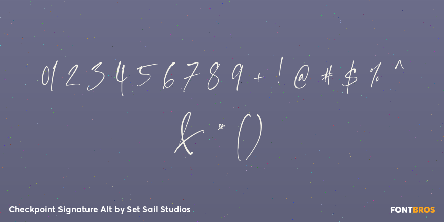 Checkpoint Signature Alt Font Poster #4