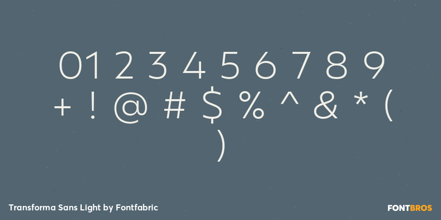 Transforma Sans Light Font Poster #4