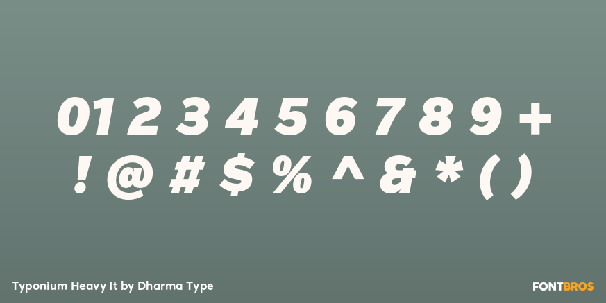 Typonium Heavy It Font Poster #4