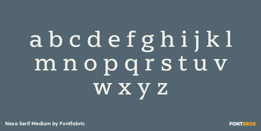 Nexa Serif Medium Font Poster #3