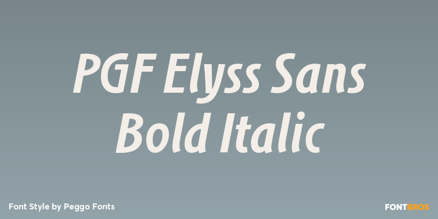 PGF Elyss Sans Bold Italic Poster