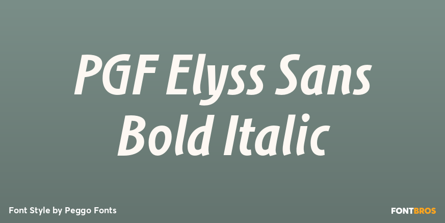 PGF Elyss Sans Bold Italic Poster
