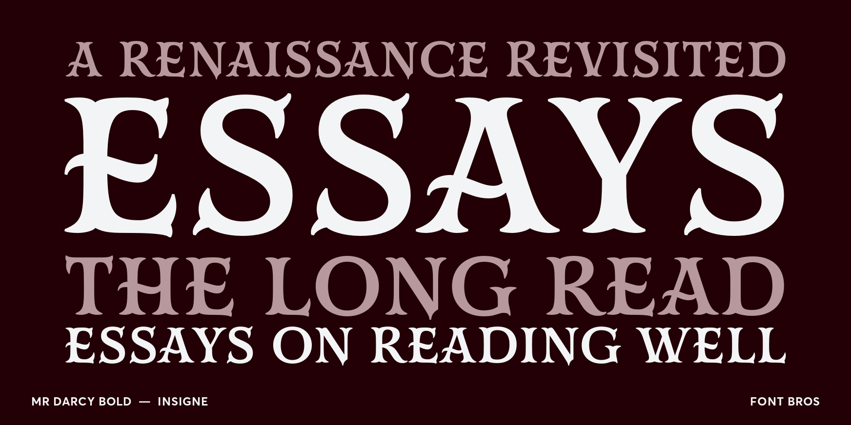 Mr Darcy Bold Thumbnail #2