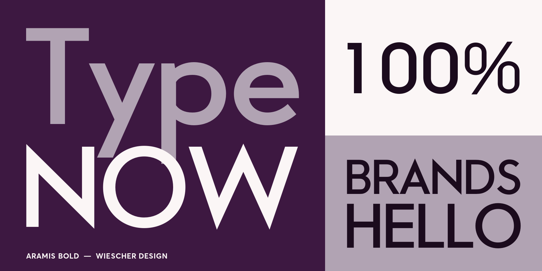 Aramis Bold Font Poster #3