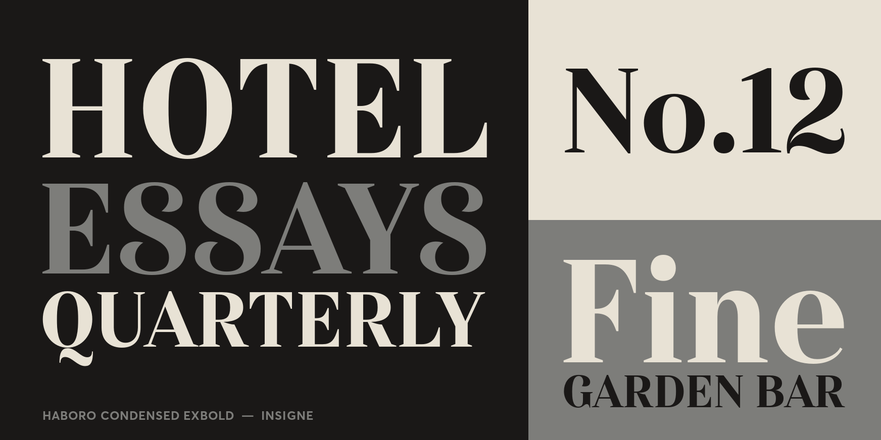 Haboro Condensed ExBold Font Poster #3