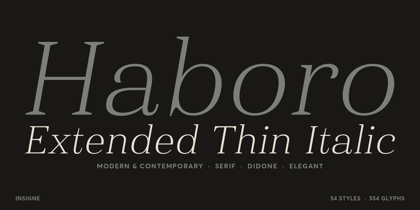 Haboro Extended Thin Italic Thumbnail #1