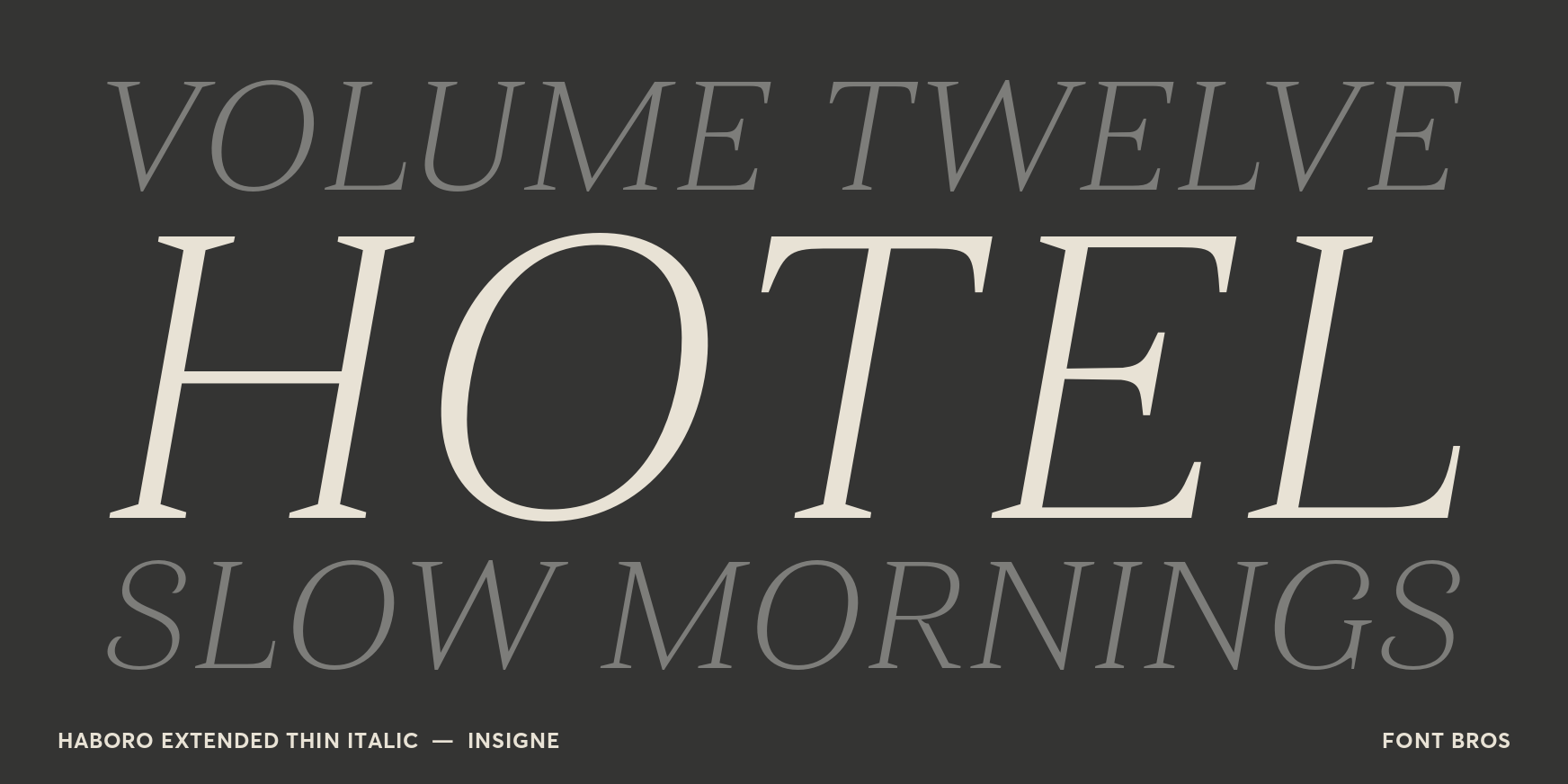 Haboro Extended Thin Italic Font Poster #2