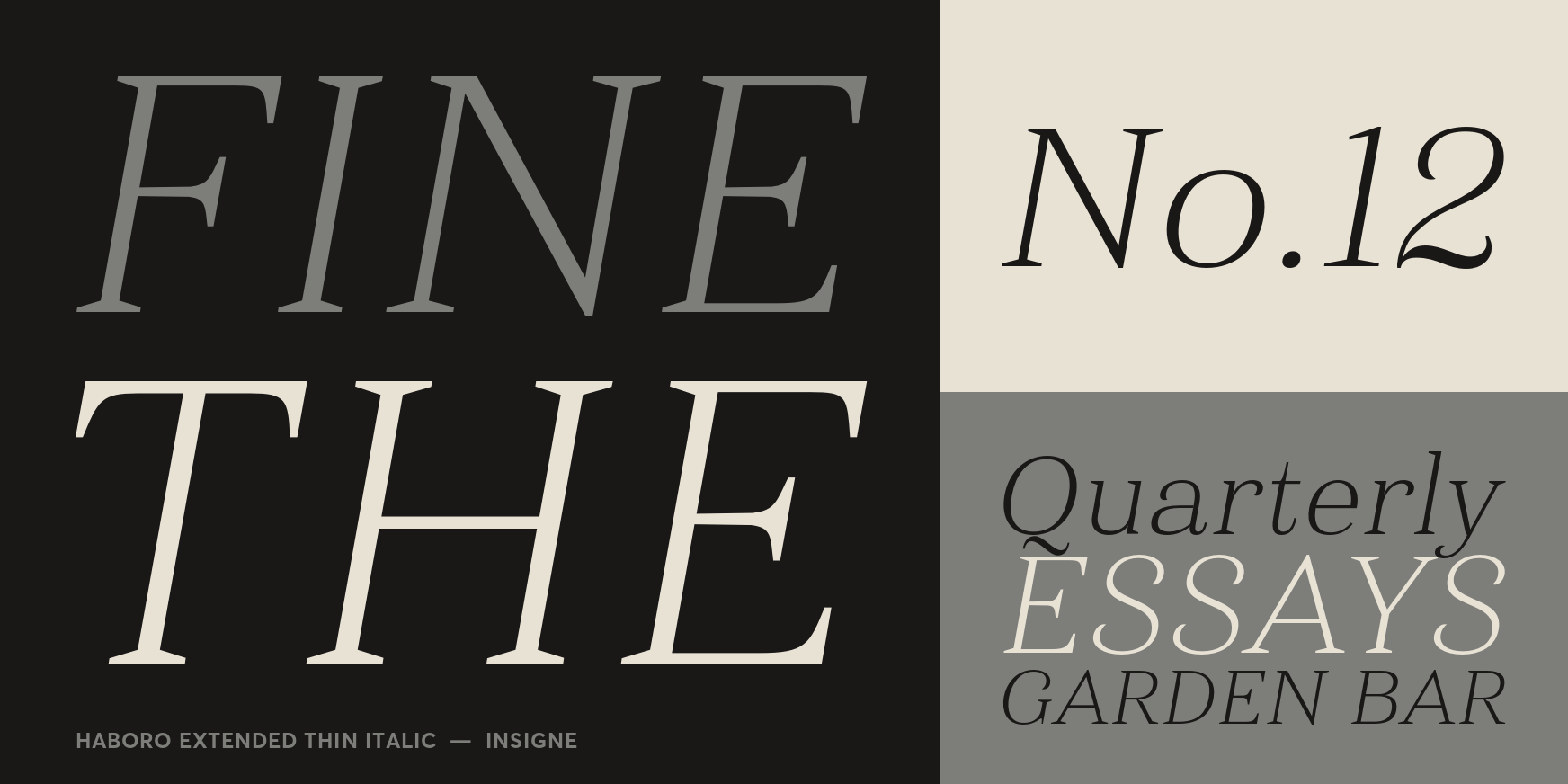 Haboro Extended Thin Italic Font Poster #3