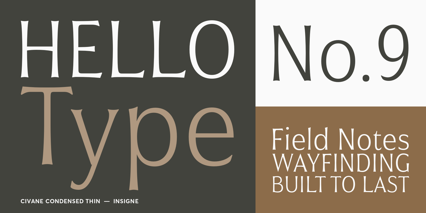 Civane Condensed Thin Font Poster #3