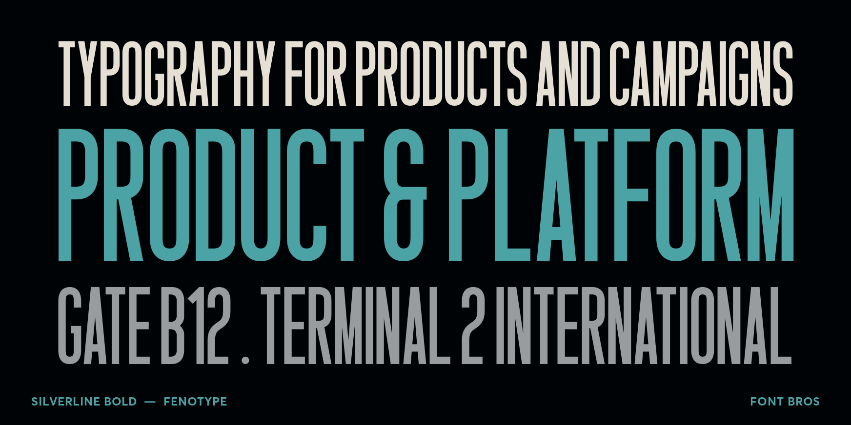 Silverline Bold Font Poster #2