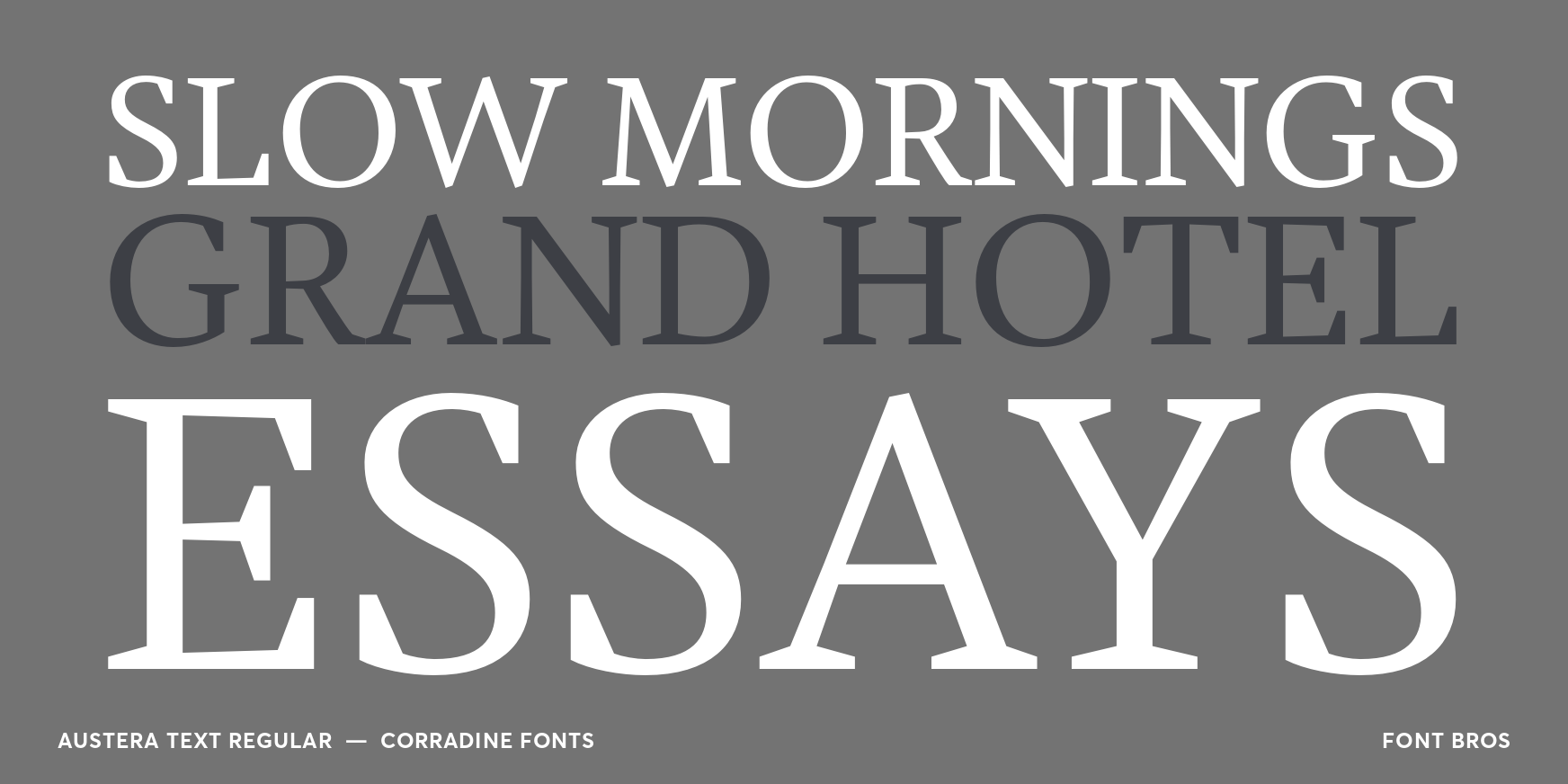 Austera Text Regular Font Poster #2