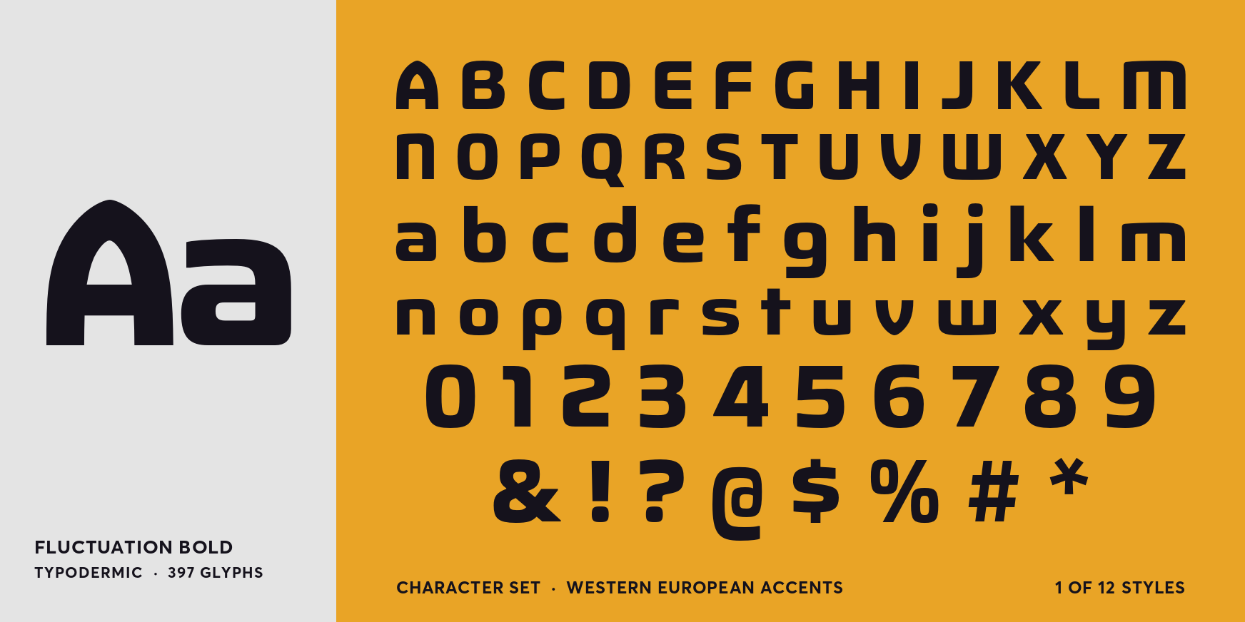 Fluctuation Bold Font Poster #4