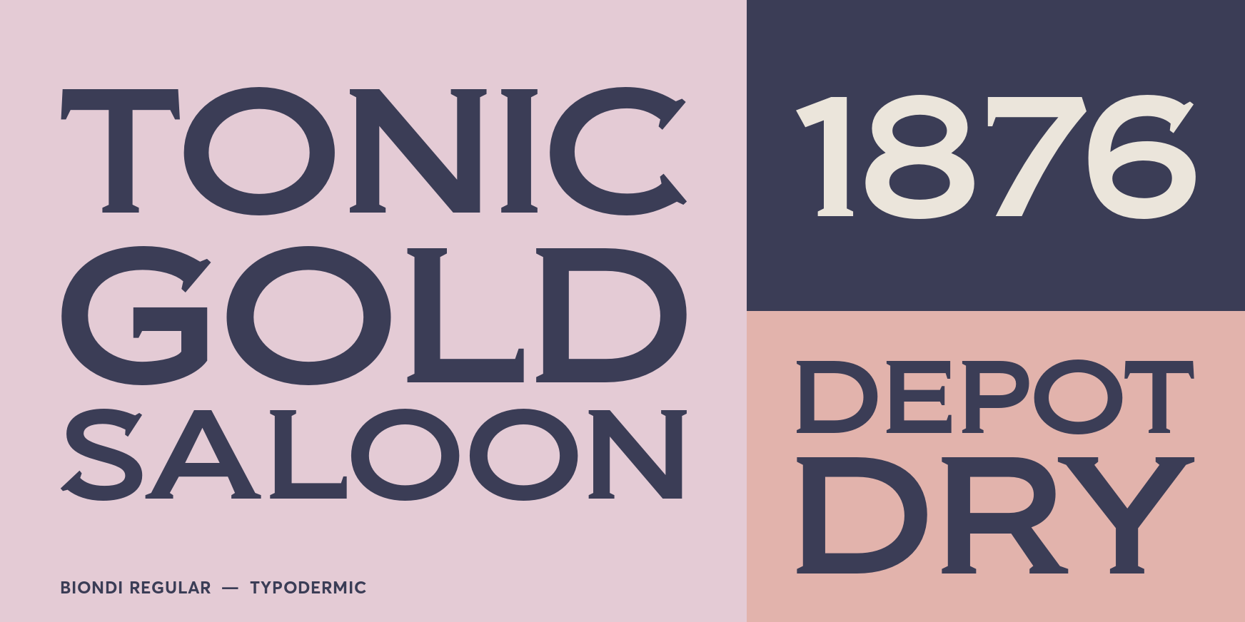 Biondi Regular Font Poster #3