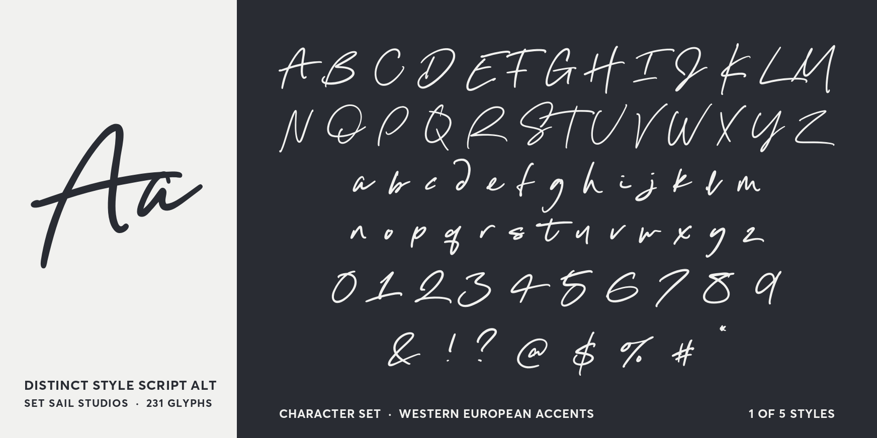 Distinct Style Script Alt Font Poster #4