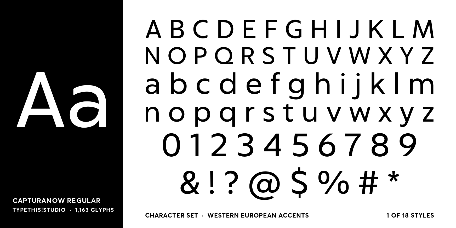 CapturaNow Regular Font Poster #4