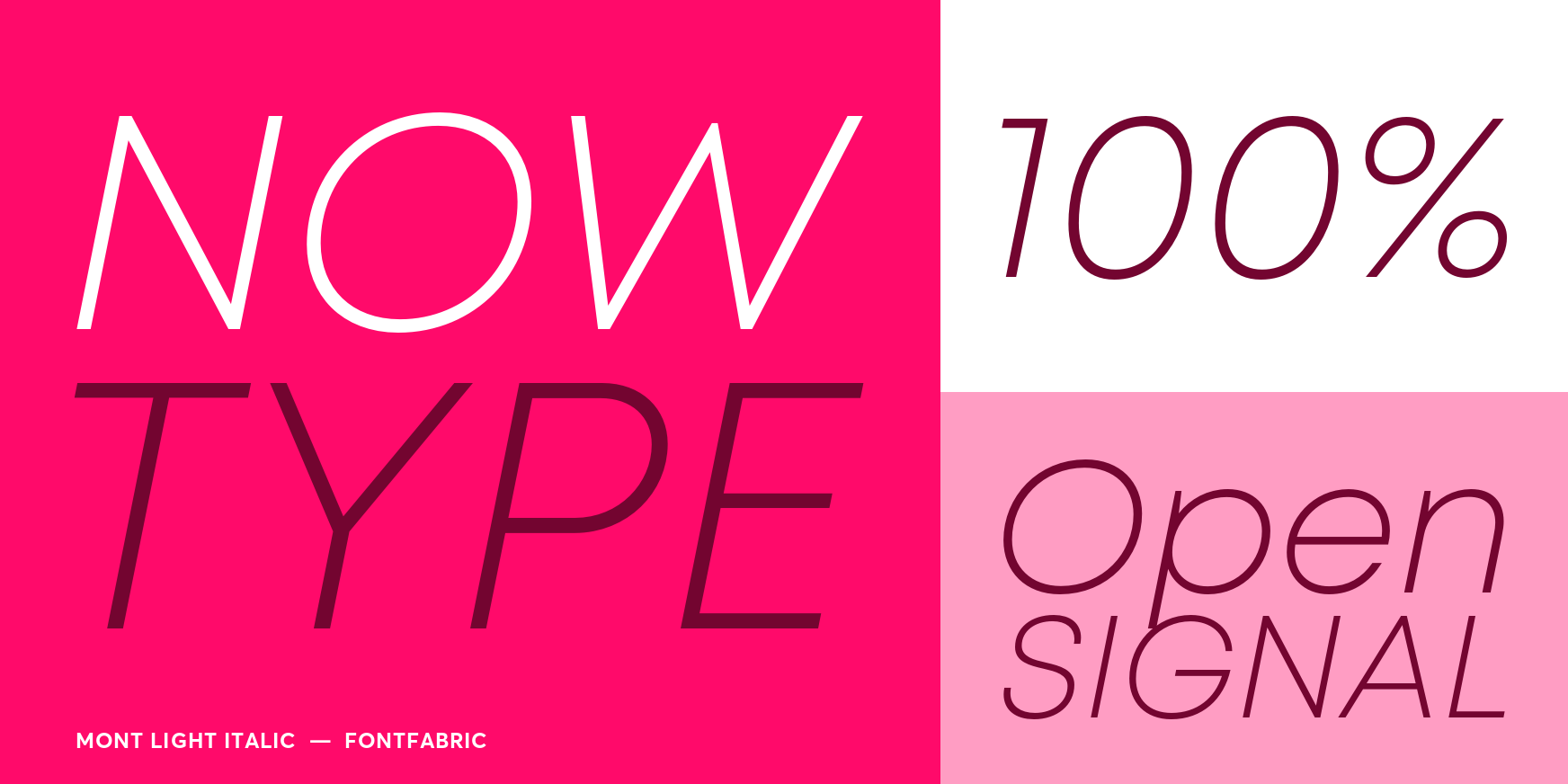Mont Light Italic Font Poster #3