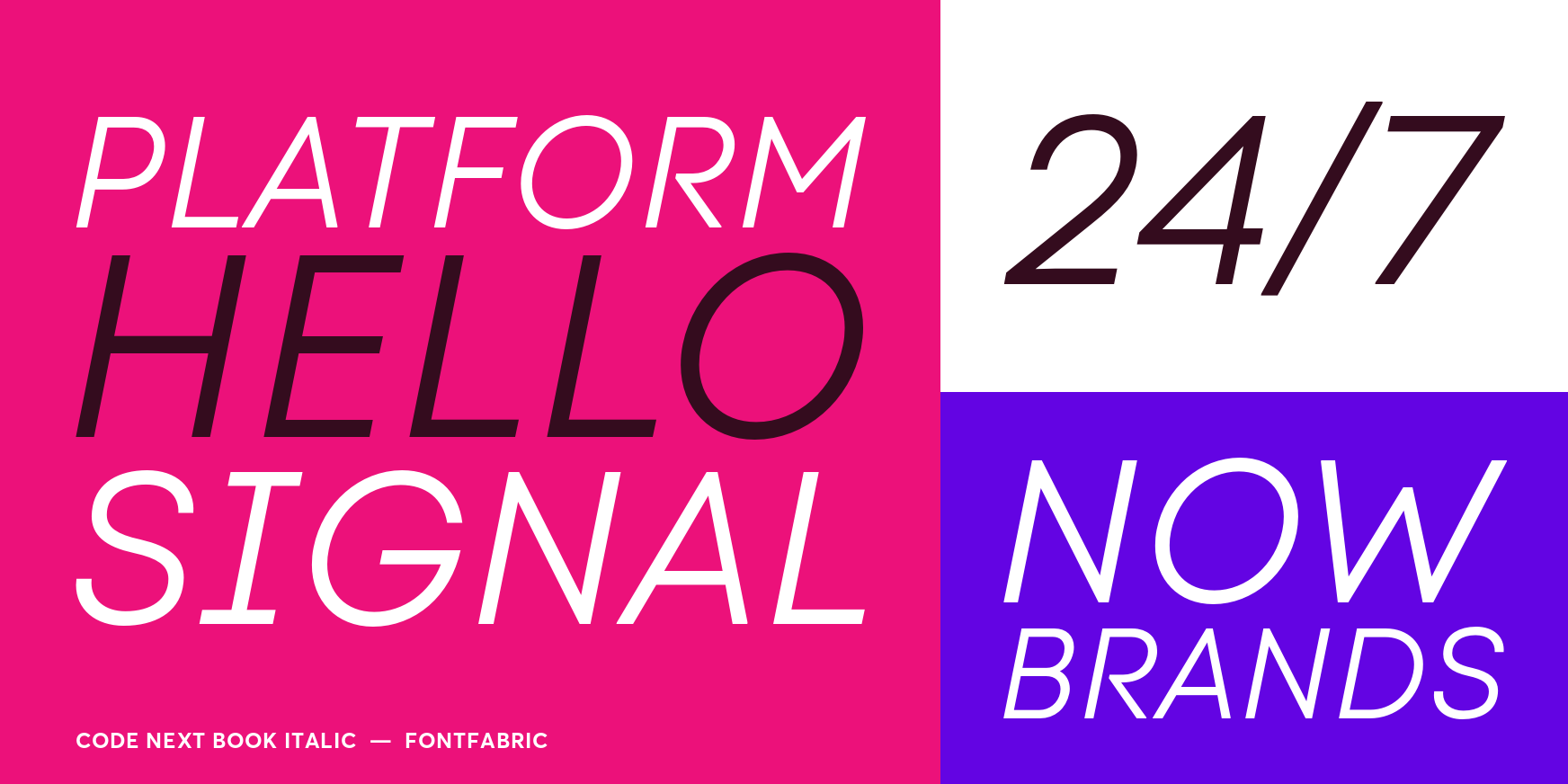 Code Next Book Italic Font Poster #3