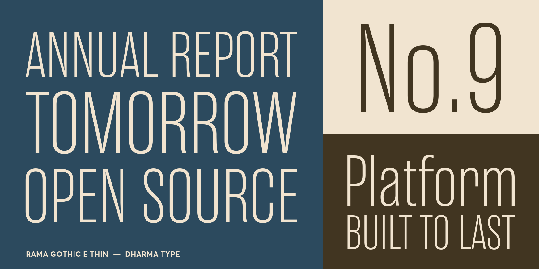 Rama Gothic E Thin Font Poster #3