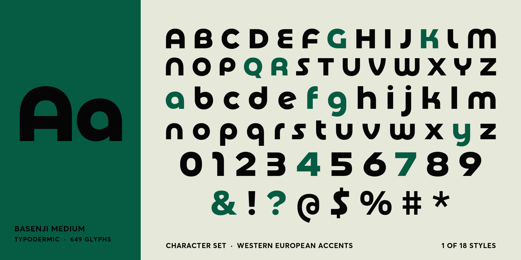 Basenji Medium Font Poster #4