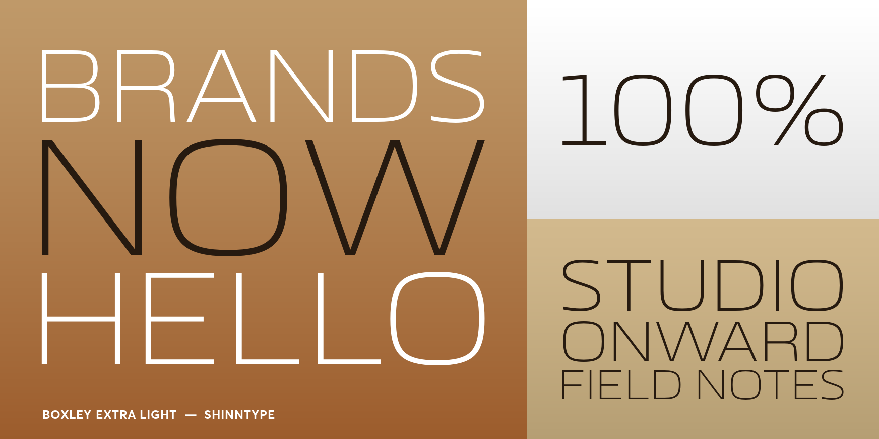 Boxley Extra Light Font Poster #3