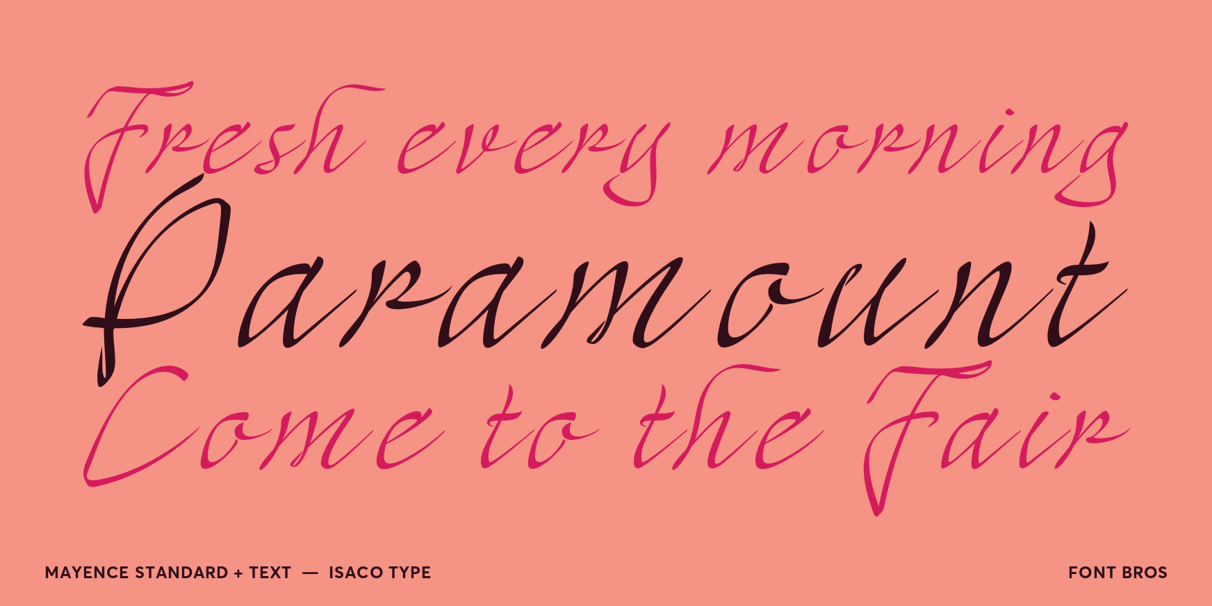 Mayence Standard + Text Font Poster #2