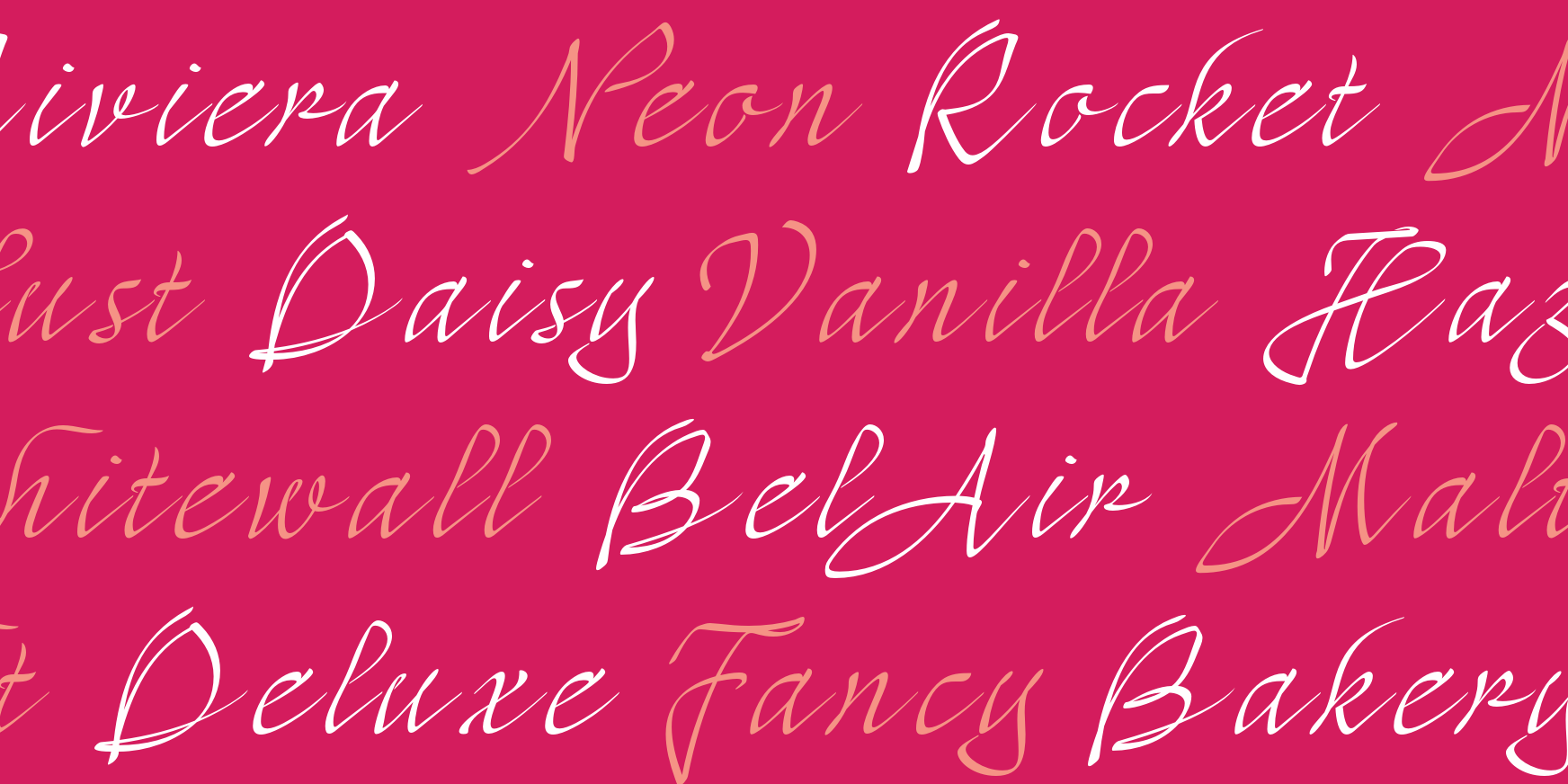 Mayence Standard + Text Font Poster #3