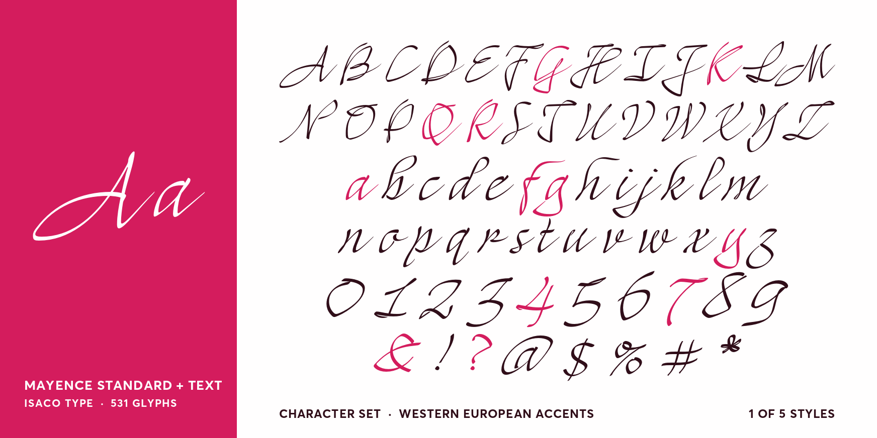 Mayence Standard + Text Font Poster #4