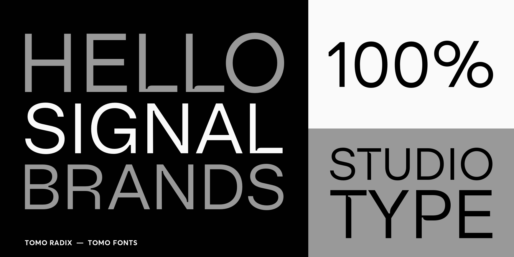 Radix Light Font Poster #3