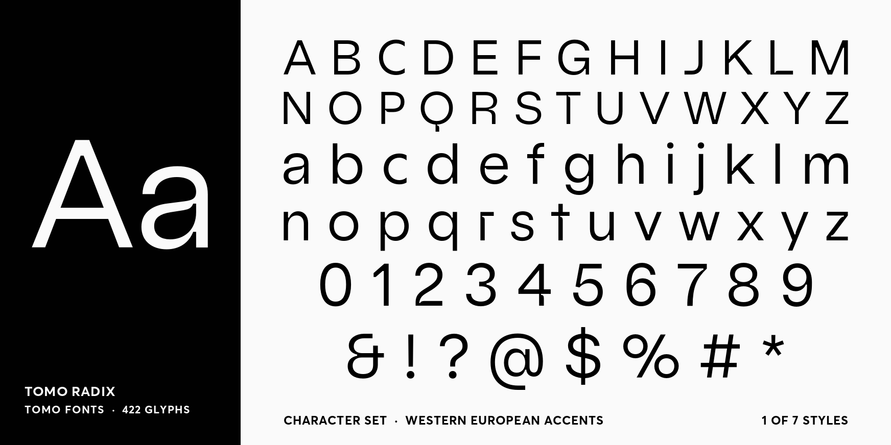 Radix Light Font Poster #4