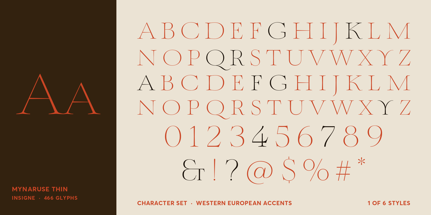 Mynaruse Thin Font Poster #4