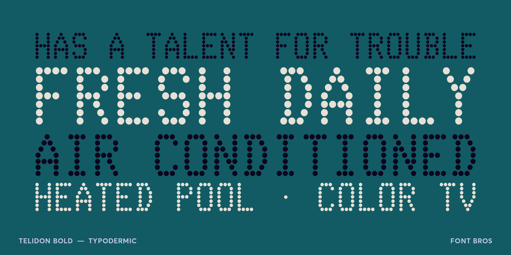 Telidon Bold Font Poster #2