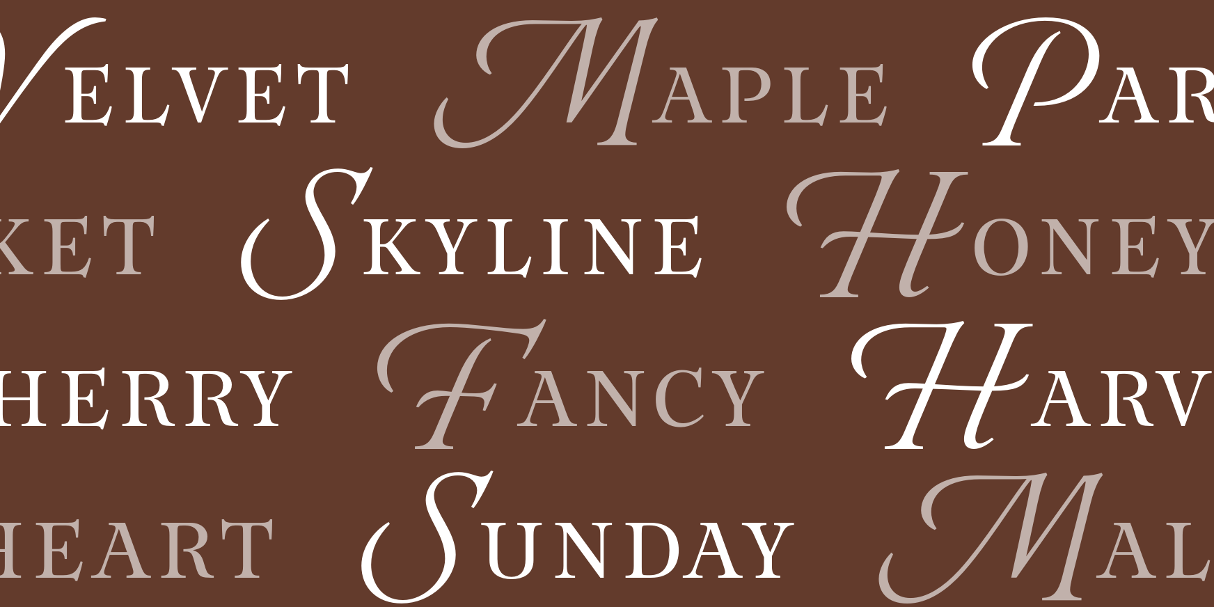 Eterea Regular Font Poster #3