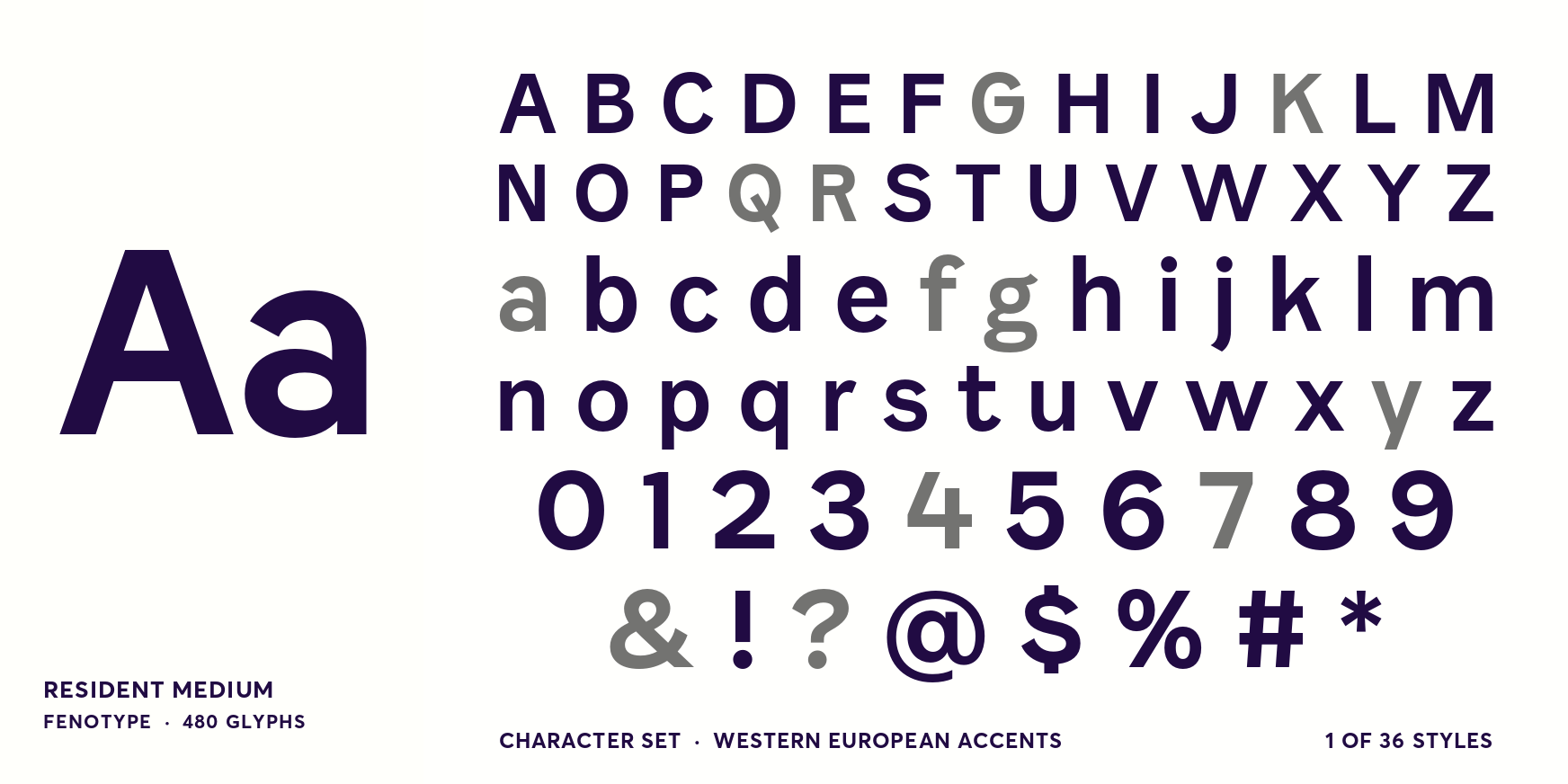 Resident Medium Font Poster #4