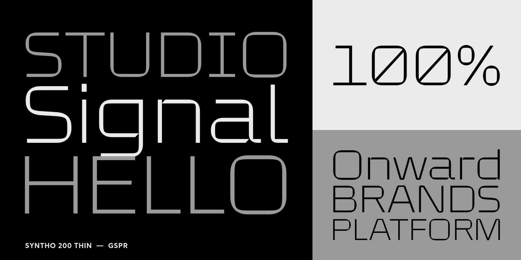 Syntho 200 Thin Font Poster #3
