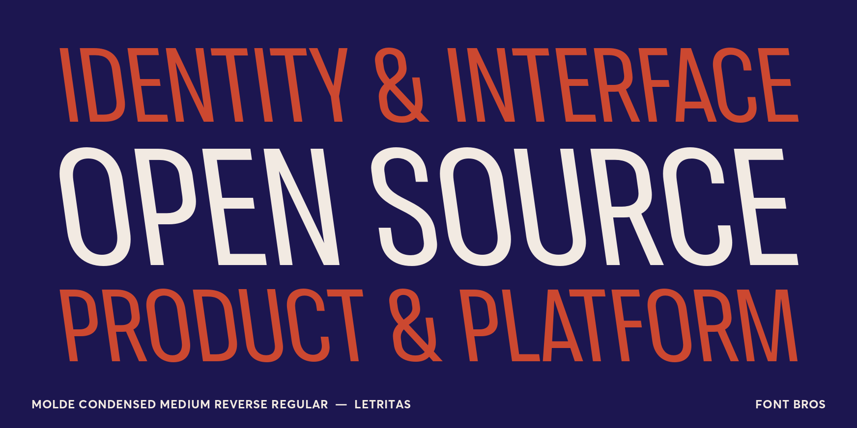 Molde Condensed Medium Reverse Regular Font Poster #2