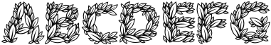 Sweet Bay Outline Sample