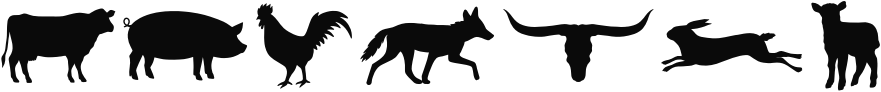 Wild Heart Dingbats Sample