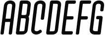 Checkpoint Italic Sample